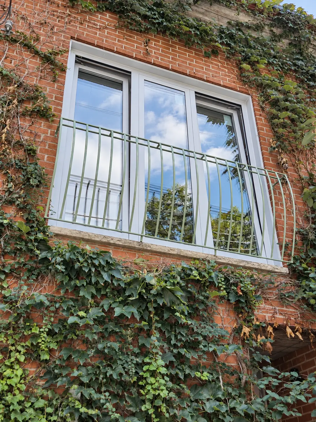 Upper-floor window with its sashes tilted inward behind a green Juliet-balcony railing, surrounded by ivy